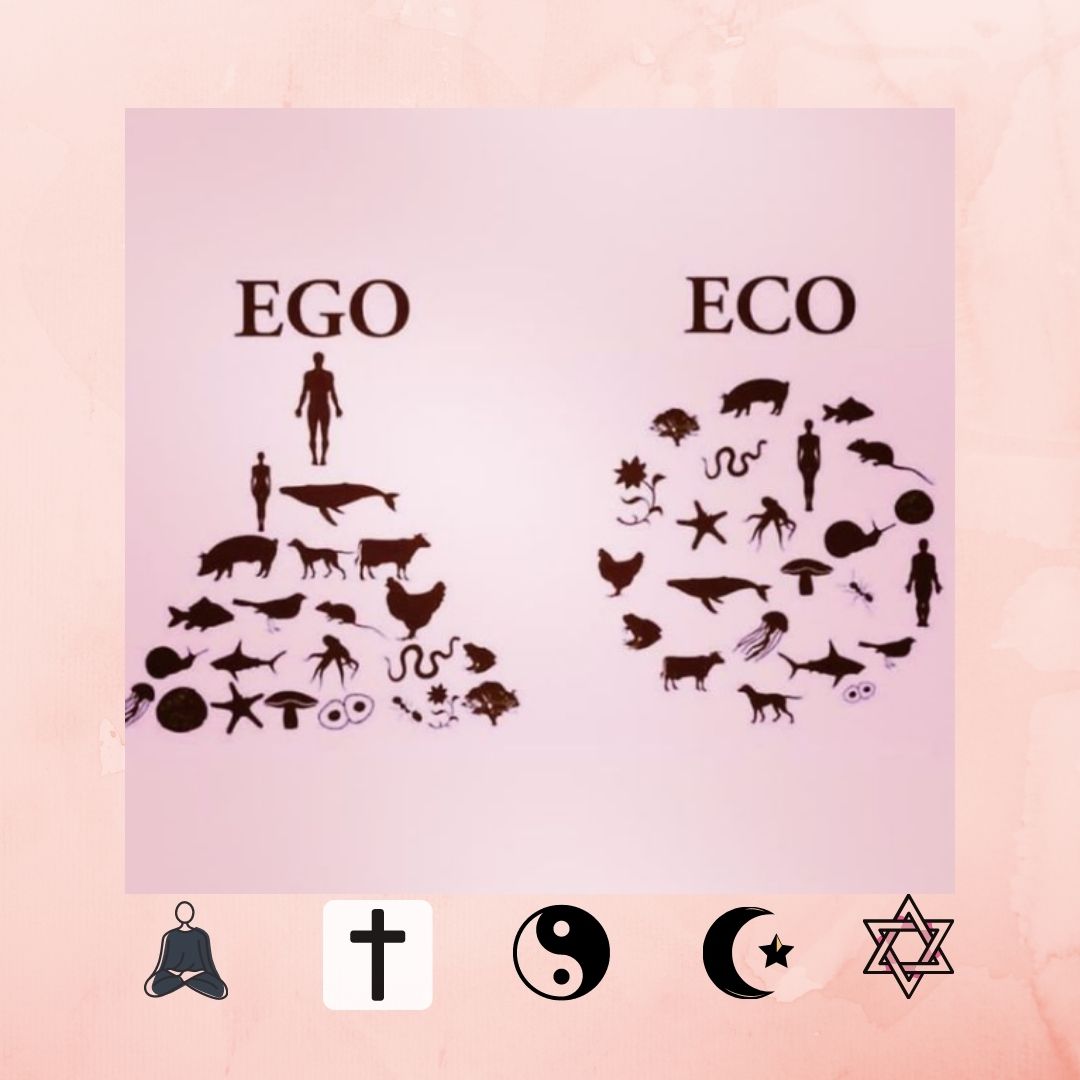 Sustainability and spirituality...the connection