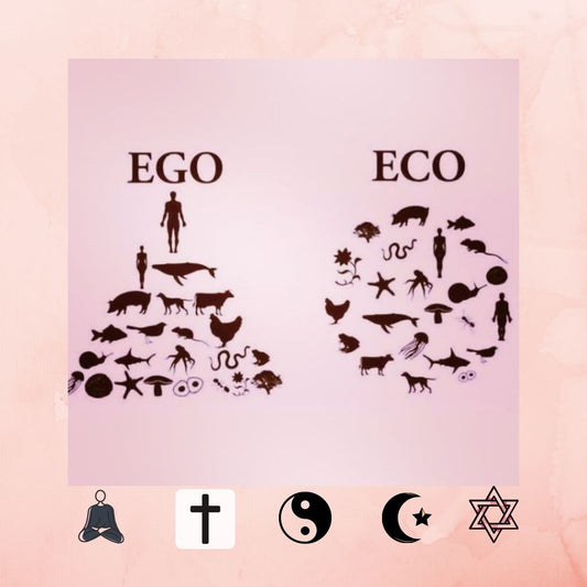 Sustainability and spirituality...the connection