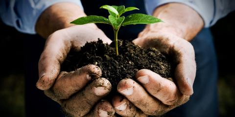 Let's talk about "Sustainability"