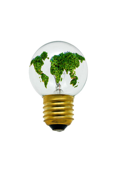 Why be sustainable in our fashion?